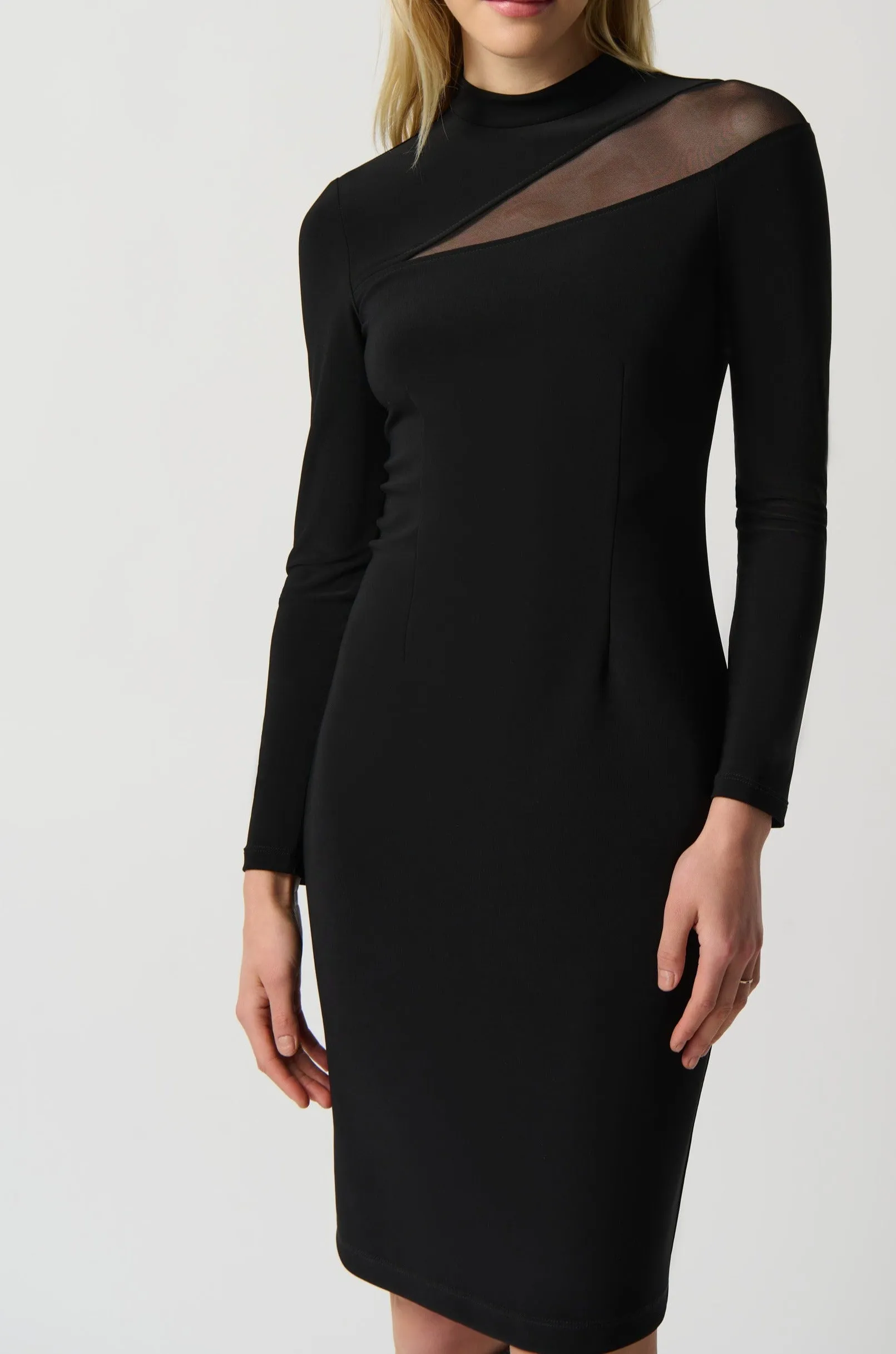 Long Sleeve Mesh Sheath Dress